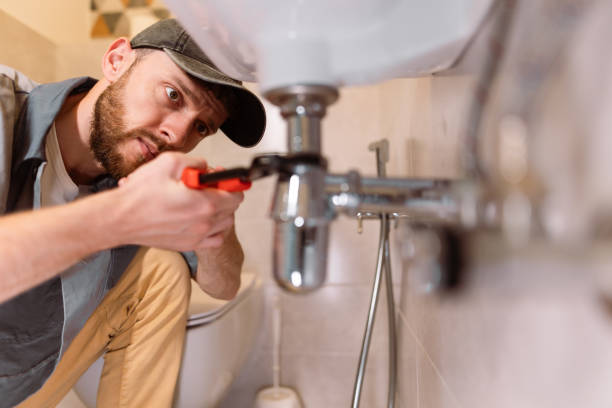 Best Local Plumber Services  in Cudahy, WI